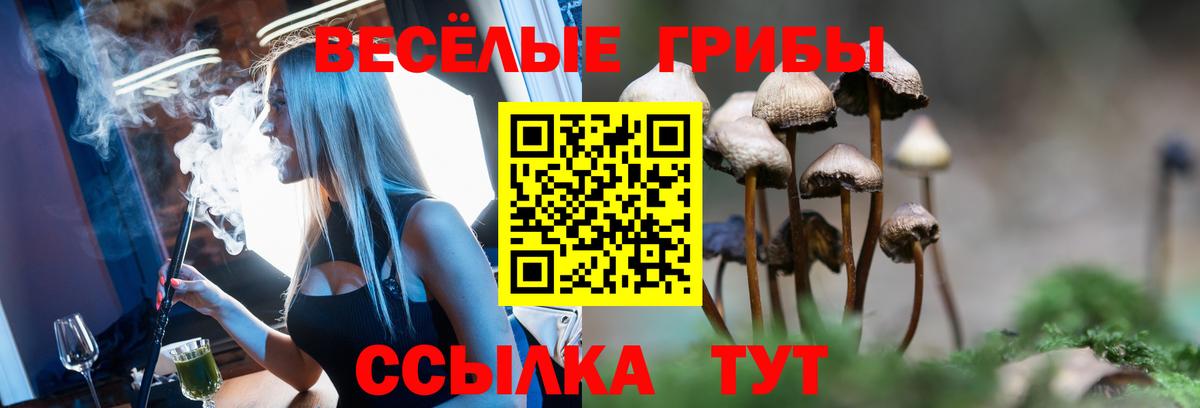 Кисловодск  Галлюциногенные грибы прущие грибы  Вход с VPN 