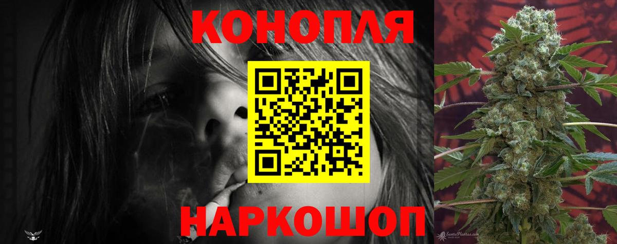 Шишки марихуана марихуана Кисловодск